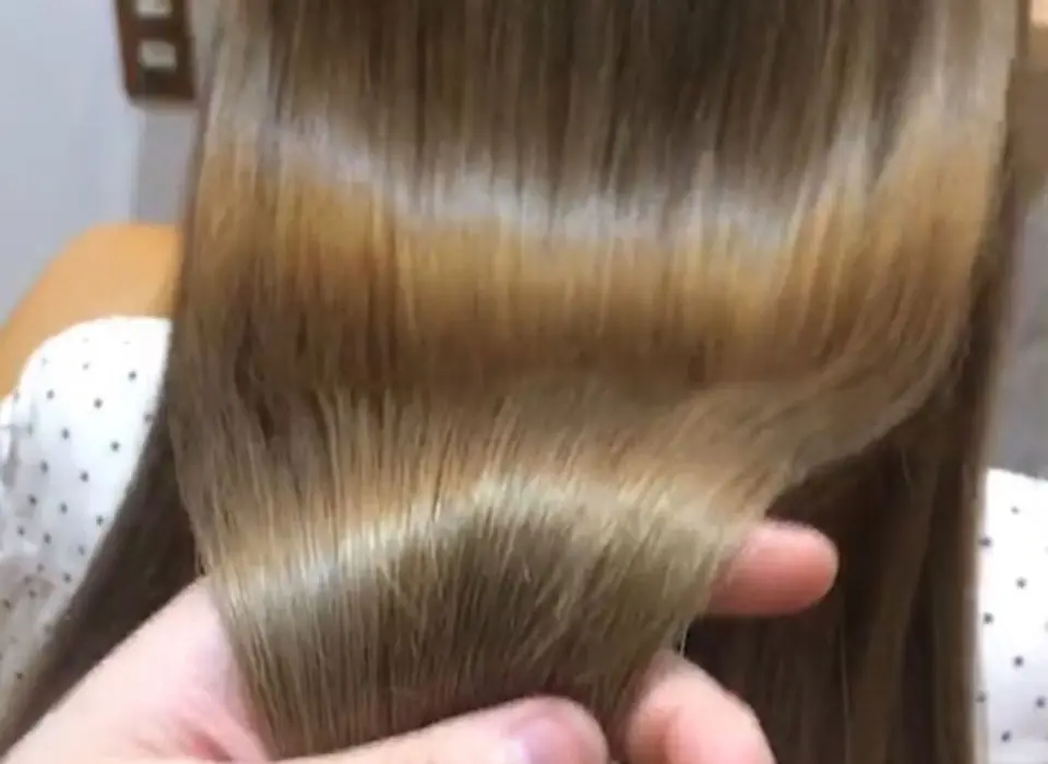 モデル
